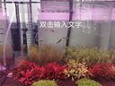 歐亞瑟外置過濾桶德國進(jìn)口魚缸過濾器過濾設(shè)備水族箱草缸烏龜缸凈水器 T250(內(nèi)置加熱棒)+11W殺菌燈 曬單實拍圖