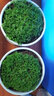 意軒室內(nèi)觀葉植物盆栽花卉 綠地球 盆栽綠植 綠地球 曬單實(shí)拍圖