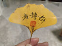 晨光照片過塑機(jī)三合一多功能帶裁紙刀塑封機(jī)a3/a4辦公家用相片熱塑機(jī)過膠機(jī)封塑機(jī)商用封膜機(jī)文件書畫 多功能【塑封+裁切+打孔】標(biāo)準(zhǔn)款A(yù)4/白色 官方標(biāo)配【全國聯(lián)保】 曬單實(shí)拍圖