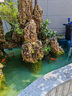 森森魚(yú)池過(guò)濾器水循環(huán)系統魚(yú)池過(guò)濾桶戶(hù)外錦鯉池凈化大型池塘過(guò)濾器 CPF-5000/4噸水（含水泵水管全套） 曬單實(shí)拍圖