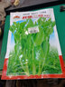 壽禾 四川豌豆尖種子專(zhuān)吃豌豆苗9月10月蔬菜青菜菜種籽四季秋冬季播種 壽尖鮮嫩豌豆尖種子80g 曬單實(shí)拍圖