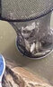 水貂王釣魚子線盒四層多層競(jìng)技漁具盒鉤盒仕掛盒4層線板盒 30厘米四層 曬單實(shí)拍圖