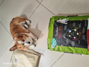 自然饋贈(zèng)澳洲進(jìn)口成幼犬狗糧犬糧通用大袋小中大型犬糧泰迪金毛營(yíng)養(yǎng) 成犬牛肉配方18kg-25年10月 曬單實(shí)拍圖