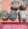 姗珀（SHANPO）520情人节礼物送女友猫咪摆件女生生日礼物女孩子六一儿童节礼品 一套5只 精美礼盒装 实拍图