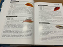 海水觀賞魚：飼養(yǎng)繁殖 疾病防治 水族箱過濾系統(tǒng)設(shè)計（精裝全彩 600多魚類品種） 曬單實拍圖