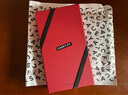 CASETIFY 美味貓咪甜點 適用于iPhone16/15/14 Pro/Max鏡面磁吸手機殼 鏡面黑框Magsafe iPhone 16 Pro 曬單實拍圖
