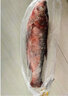 吉林松原胖頭魚(yú)【順豐冷鏈】六鮮釣海 鮮活速凍冬捕魚(yú) 特大超大花鰱東北松原新鮮春節送禮過(guò)年禮盒 5-6斤 1條 禮盒裝 曬單實(shí)拍圖
