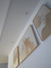 集简季侘寂风大象肌理客厅装饰画抽象艺术壁画沙发背景墙挂画 向阳福象 实拍图