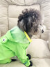 嬉皮狗（hipidog）狗狗雨衣夏季衣服寵物狗夏天泰迪比熊小型犬動(dòng)物造型牽引出行雨衣 青蛙蒂安綠 2XL建議體重16-20斤 曬單實(shí)拍圖