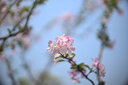 銘匠M-Z 6bit轉(zhuǎn)接環(huán)適用徠卡福倫達蔡司M口 VM鏡頭轉(zhuǎn)尼康Z5 Z7II Z6 Z8 Z9 Z50 Z30 ZFC微單 黑色(手動轉(zhuǎn)接環(huán)帶光圈識別) 曬單實拍圖