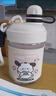 斐月伽運動(dòng)水杯吸管杯大容量塑料杯男女士耐高溫學(xué)生高顏值簡(jiǎn)約可愛(ài)杯子 米白色450ml 曬單實(shí)拍圖