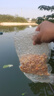 龍王恨魚(yú)餌鮮甜嫩玉米窩料青草鳊魚(yú)翹嘴釣餌大物專(zhuān)攻發(fā)酵老玉米打窩料 大爆炸發(fā)酵玉米-酵香(1000g)*1 曬單實(shí)拍圖