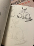 動(dòng)物速寫(xiě)描摹本 零基礎畫(huà)畫(huà)入門(mén)新手自學(xué)教程書(shū)籍線(xiàn)描花卉臨摹手繪初學(xué)者學(xué)繪畫(huà)教材鉛筆畫(huà)素描速寫(xiě)描摹畫(huà)稿 曬單實(shí)拍圖