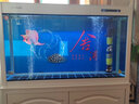 閩江生態(tài)魚(yú)缸上過(guò)濾水族箱客廳落地家用帶底柜鞋柜中大型玻璃金魚(yú)缸 長(cháng)120寬30高73.5【升級過(guò)濾不含柜】 曬單實(shí)拍圖