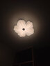 鹿屋花瓣曲奇全光譜吸頂燈主臥室燈現(xiàn)代簡約護眼花云朵奶油風(fēng)燈具 全光譜 白色【32.5CM】三色 曬單實拍圖
