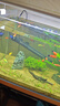 優(yōu)乾圖 魚(yú)缸加熱棒自動(dòng)恒溫不銹鋼防爆養(yǎng)魚(yú)專(zhuān)用水族箱加溫?zé)釒~(yú)加溫器 不銹鋼加熱棒300w【保護(hù)套+吸盤(pán)】 曬單實(shí)拍圖