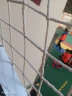 源兴（YUANXING）安全网防坠网 楼梯防护网尼龙网货车网绳网兜墙面挂网幼儿园户外攀爬网 4米x6米 网孔10cm 实拍图