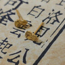 中國黃金（CHINA GOLD）足金葫蘆耳釘女款黃金立體百搭直針養耳洞耳飾節日生日禮物送女友 葫蘆耳釘 約1g 曬單實(shí)拍圖