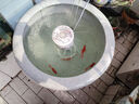 漁師傅陶瓷魚(yú)缸過(guò)濾器金魚(yú)缸瓷缸瓦缸過(guò)濾器噴泉造景圓缸過(guò)濾內置過(guò)濾器 雪山斜側出水-適合4152cm水深 曬單實(shí)拍圖