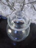 天喜（TIANXI）玻璃泡菜坛子家用加厚密封罐透明大容量咸菜罐泡酒腌菜坛子5斤装 实拍图