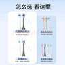素士牙刷頭替換成人電動(dòng)牙刷果凍刷頭2支裝高密度異形植毛真空包裝 【緩震亮白】舒適護齦-黑色2支 曬單實(shí)拍圖