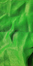 密目網(wǎng)建筑網(wǎng)安電梯網(wǎng)防塵網(wǎng)防護網(wǎng)阻燃網(wǎng)全工程腳手架外墻防墜網(wǎng) 聚丙烯普通1200目 1.8米×5.5米 曬單實(shí)拍圖