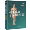人體解剖彩色圖譜第三版3版全彩人衛(wèi)奈特系統(tǒng)解剖學(xué)人體肌肉骨骼結(jié)構(gòu)書3d尸檢解刨學(xué)法醫(yī)學(xué)類書籍教材郭光文王序西醫(yī)基礎(chǔ)醫(yī)學(xué)人民衛(wèi)生出版社 曬單實(shí)拍圖