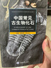 包郵 中國(guó)常見古生物化石探尋自然的奧秘，讓你成為古生物化石專家，大量精美圖片全圖書科普讀物生物Y 曬單實(shí)拍圖