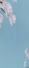 首和 华为MateBook 14s/14电脑贴纸机身外壳键盘保护贴膜笔记本按键垫套装屏保配件 个性款式 1 ABCD面+抗蓝光辐射屏幕膜+键盘膜+清洁套装 晒单实拍图