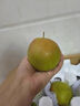 澤鮮達(dá)玉露香梨正宗山西特產(chǎn)新鮮水果當(dāng)季整箱玉露香梨精品禮盒 2斤品質(zhì)裝（無禮盒） 曬單實(shí)拍圖