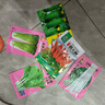 蓿蕾辣椒種子苗子青椒線杭椒朝天椒早熟高產(chǎn)家庭蔬菜種植盆栽陽臺(tái)庭院 香辣朝天椒約500粒原廠彩包 曬單實(shí)拍圖