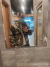 盾郎迷彩服套裝男春夏季純棉戶(hù)外戰術(shù)訓練多口袋軍訓透氣耐磨工作服7898灰迷彩彈力套裝【純棉舒適】175=XL【建議130-150斤 曬單實(shí)拍圖