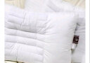 南极人枕头枕芯 决明子立体安睡枕头芯 单人宿舍成人颈椎枕 单个装 实拍图