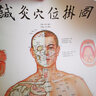 針灸穴位掛圖（第5版）靳士英等中醫針灸人民衛生出版社 曬單實(shí)拍圖