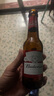 百威（BUDWEISER）經(jīng)典美式淡色拉格啤酒 小麥黃啤酒 夜場(chǎng)小瓶 236mL 24瓶 整箱裝 曬單實(shí)拍圖