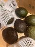 GREENHOW秘魯牛油果新鮮水果巨無(wú)霸鱷梨大果 180g單果180-220g 12個(gè) 曬單實(shí)拍圖