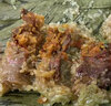 海南定安黑豬肉 250g蛋黃粽子農(nóng)村新鮮粽子 順豐發(fā)貨 10個(gè)黑豬肉加蛋粽子 曬單實(shí)拍圖