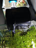 森森壁掛式過濾器三合一外置魚缸沖氧泵小型水族箱烏龜缸瀑布設(shè)備 HBL-501 5W(適合50-80cm缸) 曬單實(shí)拍圖