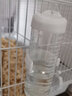 寵尚天 倉鼠喝水壺滾珠飲水器用品喂水器 雙鋼珠小寵水壺 200ml象牙白 曬單實(shí)拍圖