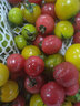 辰實【順豐】圣女果混裝 新鮮小番茄 黃色夏日陽光 紅色小柿子 4斤（多色混裝）推薦 曬單實拍圖