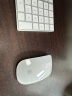 Apple/苹果 Magic Mouse 妙控鼠标 Mac鼠标 无线鼠标 办公鼠标 晒单实拍图