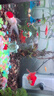 泰獅金魚(yú)活冷水魚(yú)淡水魚(yú)鎏金蘭壽紅獅金魚(yú)觀賞魚(yú)好養(yǎng)耐活魚(yú)活體魚(yú) 7-9cm紅泰獅2條 曬單實(shí)拍圖