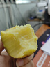 粵品廣東高州爆皮王番薯白肉紅薯新鮮現(xiàn)挖小地瓜白皮人參薯 爆皮王5斤 曬單實(shí)拍圖