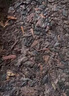 吳啟英特價(jià)標(biāo)桿級(jí)經(jīng)典熟茶7581磚茶普洱熟茶250g高山頭春茶高品質(zhì)口糧茶 曬單實(shí)拍圖