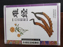 難經 白話精解 正版圖書 中醫(yī)藥經典著作 中醫(yī)基礎理論知識 常見病診斷 草藥知識大全書籍 原文白話文解譯 家用實用老中醫(yī)保健書籍 曬單實拍圖