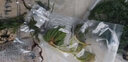 異景園魚(yú)缸水族箱造景水榕沉木活體水草淡水無(wú)土植物后景真水草凈水增氧 香蕉草 曬單實(shí)拍圖
