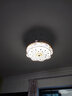 【金色】浦藍帝LED帶藍牙音響隱形風扇燈餐廳吊燈 客廳燈扇一體吊扇燈現(xiàn)代簡約帶電扇的電風扇 時尚拉絲 _42寸LED變光+遙控+變頻6檔 曬單實拍圖