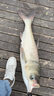 開(kāi)沃精工漁具蘭亭極翹嘴版釣竿 臺(tái)釣竿10米甩大鞭草魚(yú)竿休閑釣魚(yú)竿 10米 曬單實(shí)拍圖