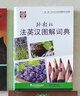 法英漢圖解詞典(三語對(duì)照 附音標(biāo)) 一帶一路社會(huì)文化多語圖解系列詞典 法語詞匯分類單詞書 曬單實(shí)拍圖