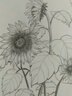 花卉速寫描摹本 零基礎(chǔ)畫畫入門新手自學(xué)教程書籍線描花卉臨摹手繪初學(xué)者學(xué)繪畫教材鉛筆畫素描速寫描摹畫稿 曬單實(shí)拍圖